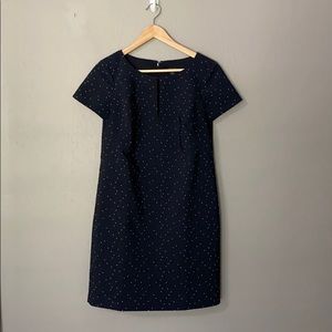 Ann Taylor Navy Shift Dress